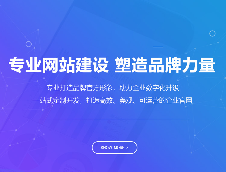巴中建站-专业网站建设 塑造品牌力量